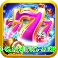 basant Pro Gaming App